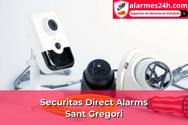 Securitas Direct Alarms in Sant Gregori